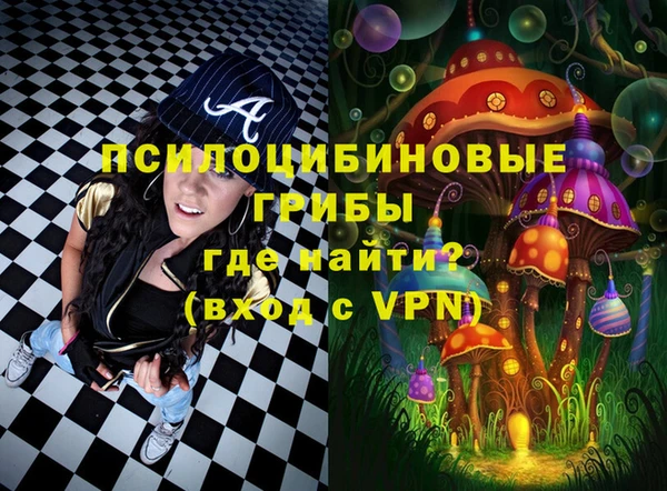 ПСИЛОЦИБИНОВЫЕ ГРИБЫ Каменногорск