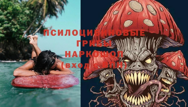 ПСИЛОЦИБИНОВЫЕ ГРИБЫ Каменногорск