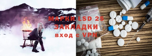 ПСИЛОЦИБИНОВЫЕ ГРИБЫ Каменногорск