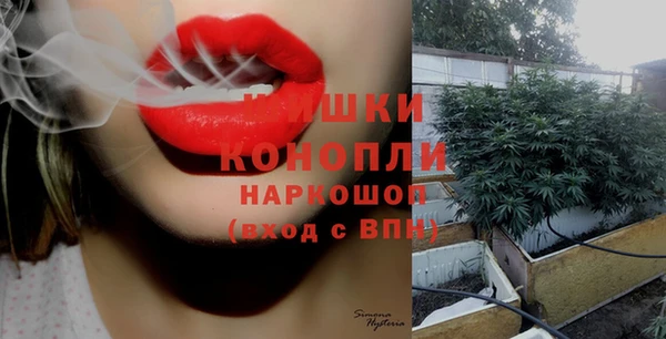 spice Каменка