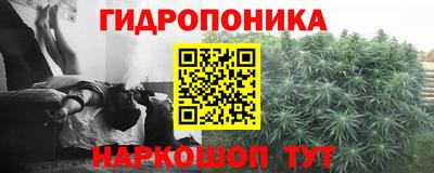 тгк Обь
