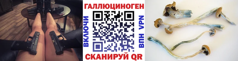 Псилоцибиновые грибы Cubensis  Свободный 