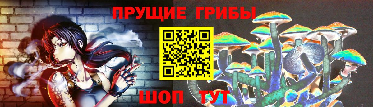 Галлюциногенные грибы Psilocybine cubensis Свободный