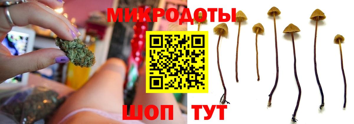 Свободный  закладка  Галлюциногенные грибы прущие грибы  Вход с VPN  Галлюциногенные грибы прущие грибы 