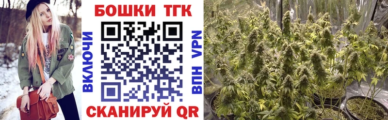 наркота Свободный Канабис SATIVA & INDICA