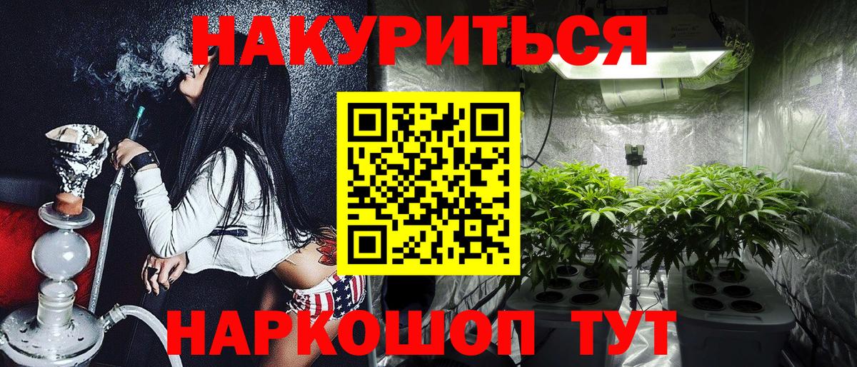 Свободный  Канабис ГИДРОПОН  МАРИХУАНА планчик  Каннабис Ganja  Конопля планчик  Вход с VPN 